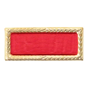 Ribbon Unit Citation: Army Meritorious Unit Commendation