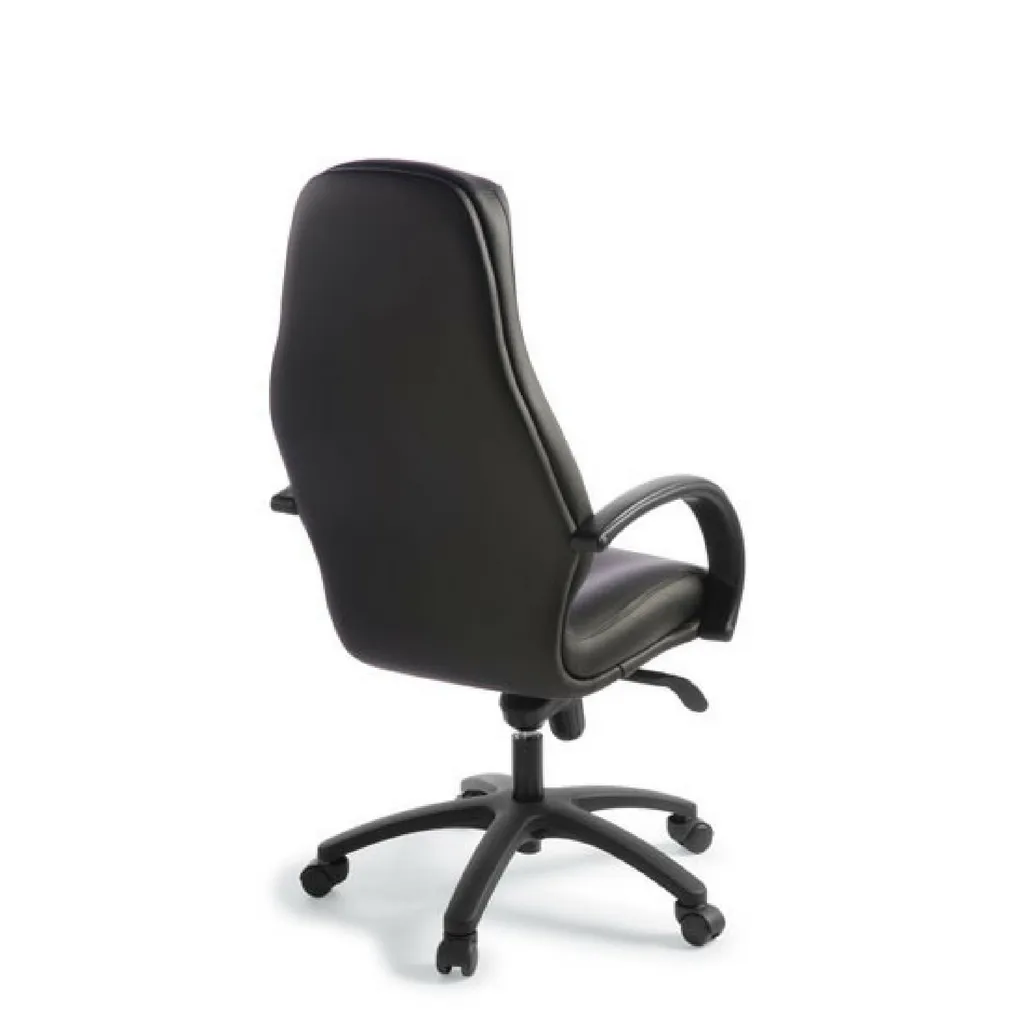 Silhouette Executive Leather Chair